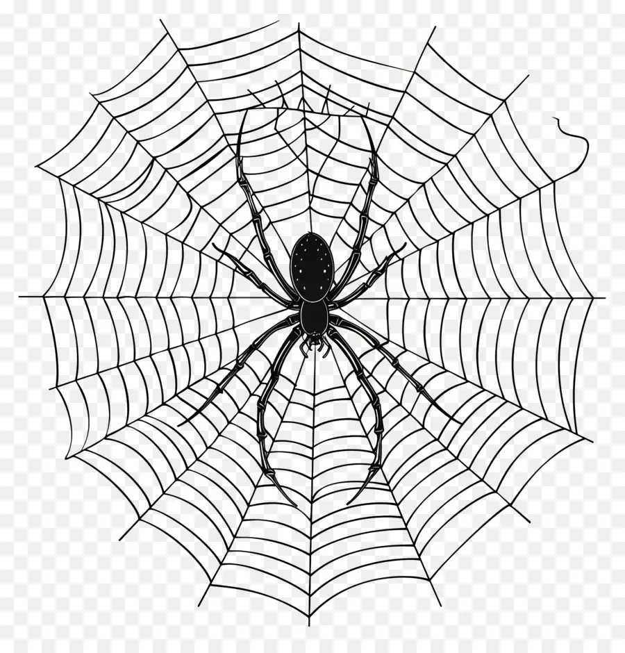 Teia De Aranha De Halloween，Teia De Aranha PNG