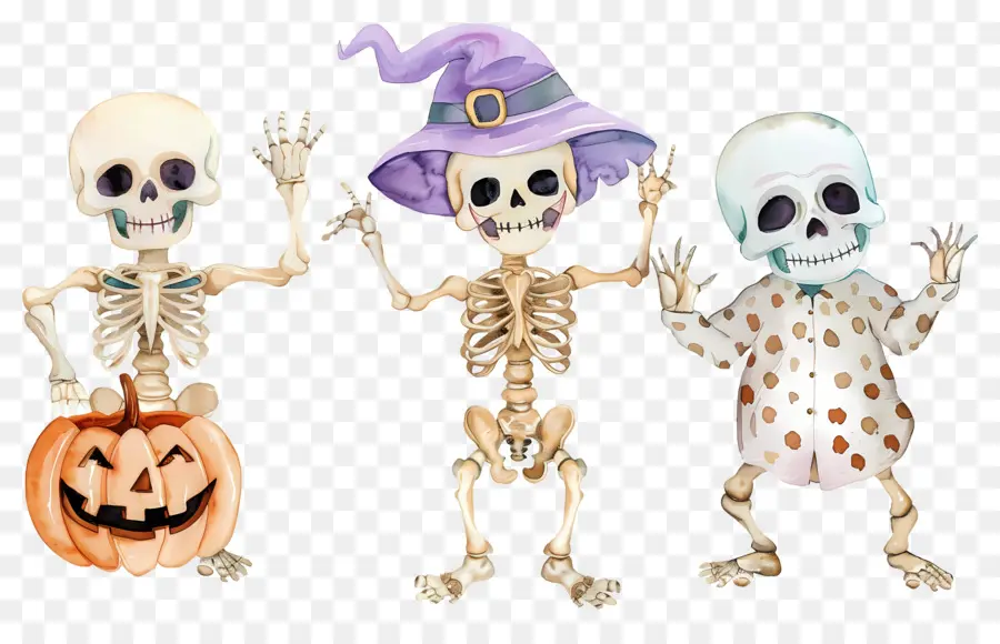 Esqueletos De Halloween，Esqueletos Com Chapéus De Bruxa PNG