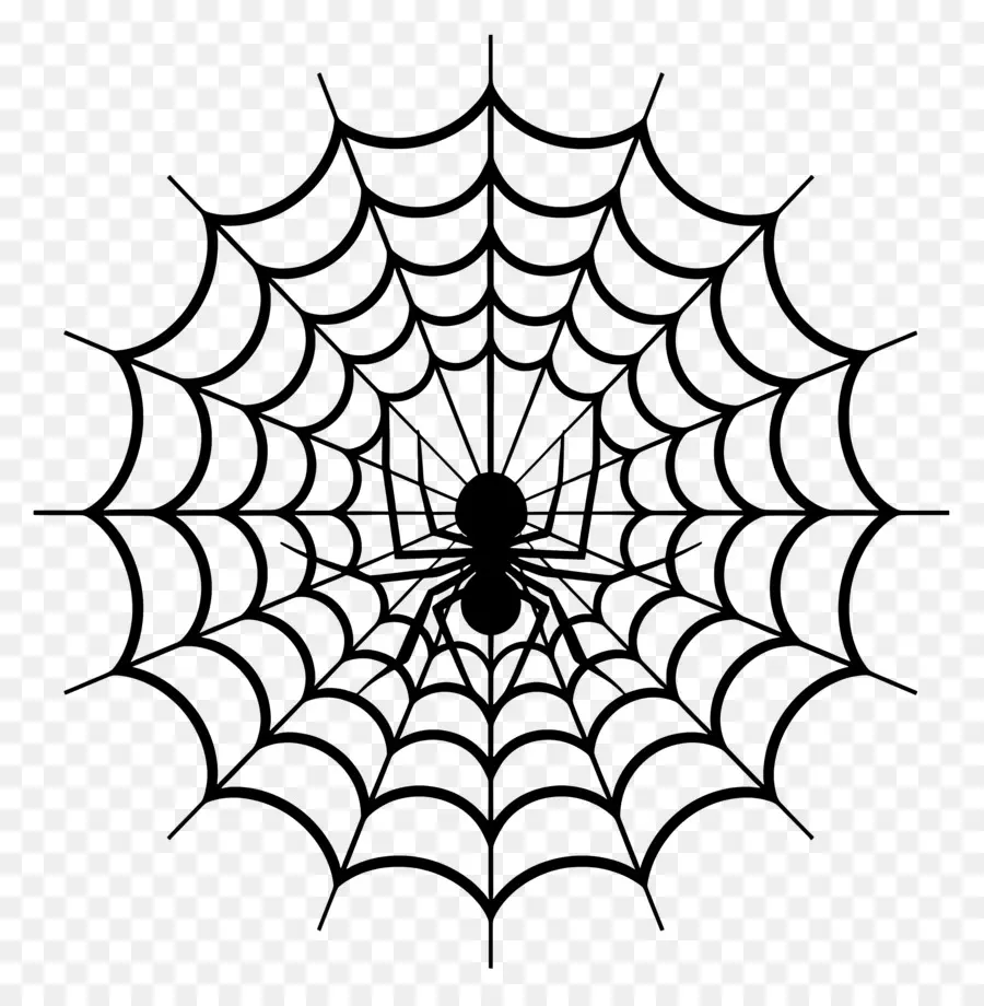 Teia De Aranha De Halloween，Teia De Aranha PNG