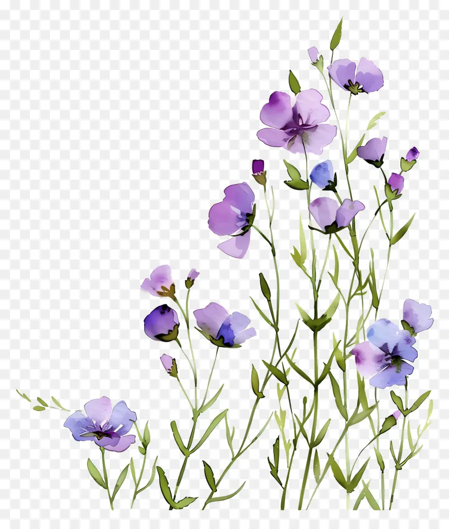 Fundo De Flor，Flores Pastel PNG