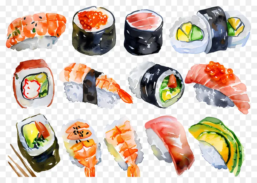 Sushi Aquarela，Sushi PNG