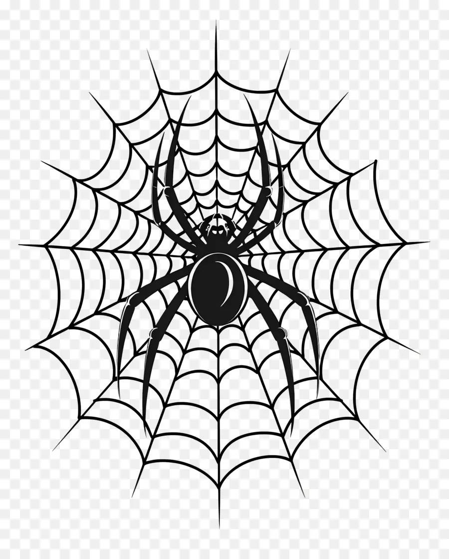 Teia De Aranha De Halloween，Teia De Aranha PNG