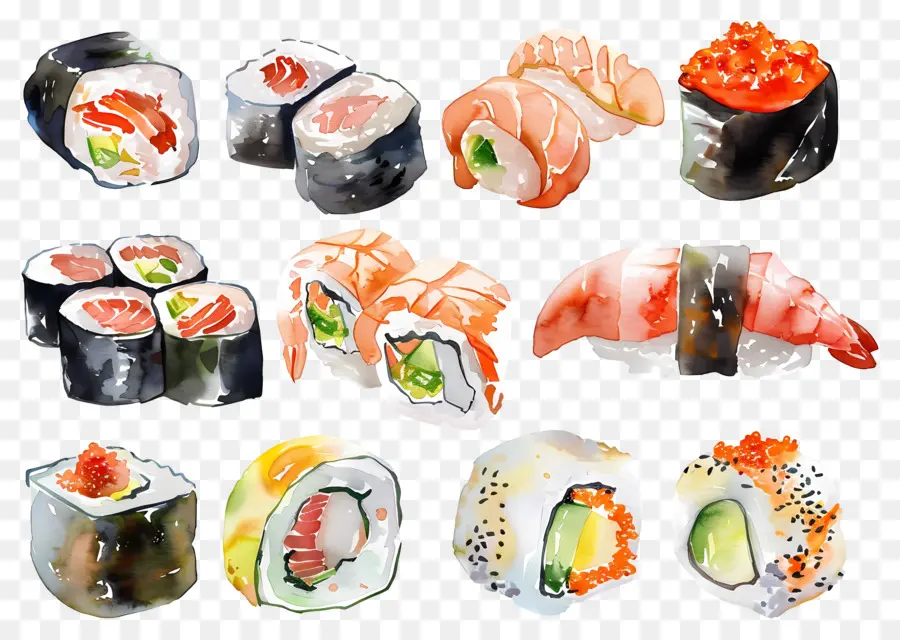 Sushi Aquarela，Sushi PNG