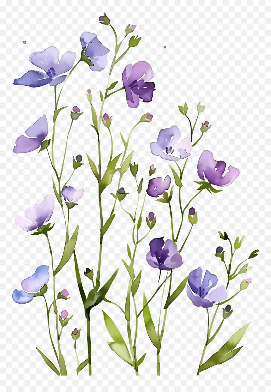 Fundo De Flor，Flores Pastel PNG