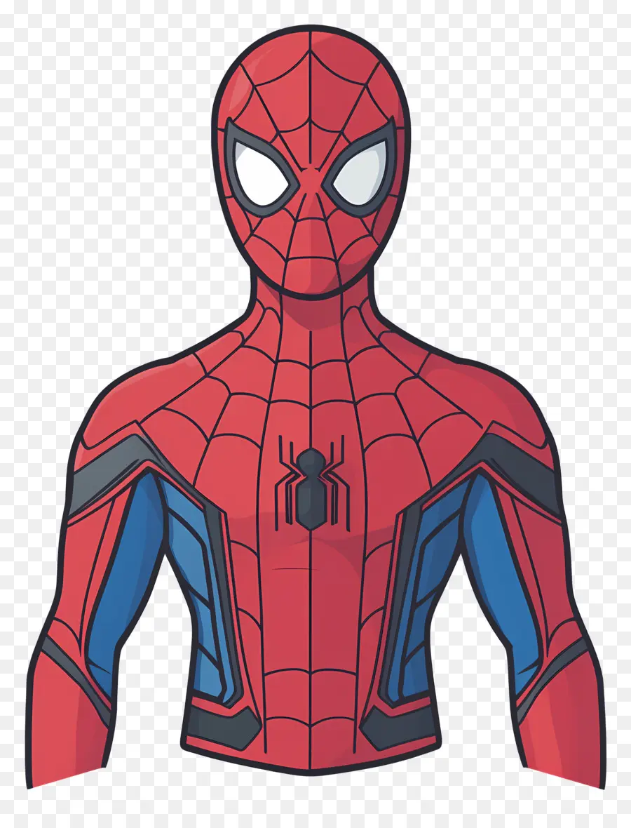 Homem Aranha Em Pé，Homem Aranha PNG