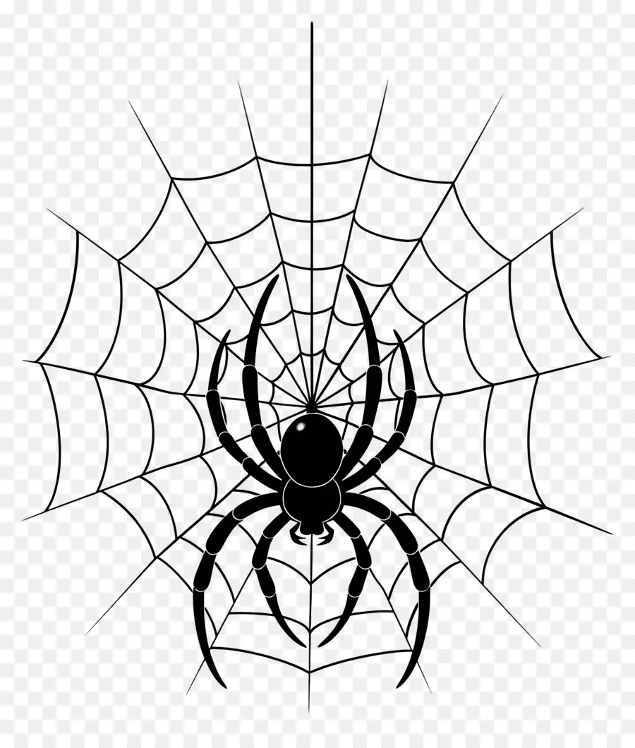 Teia De Aranha De Halloween，Aranha PNG