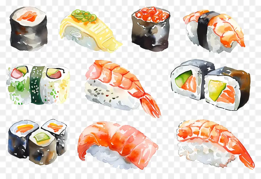 Sushi Aquarela，Sushi PNG