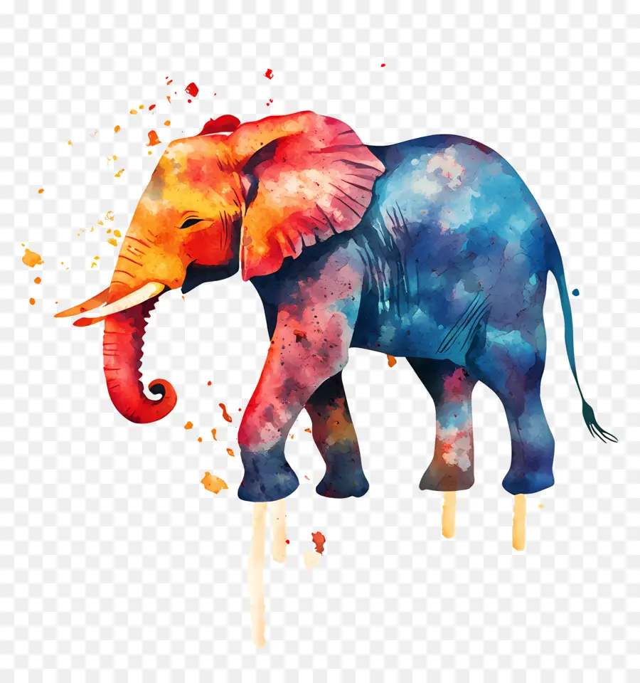 Elefante Aquarela，Elefante Colorido PNG