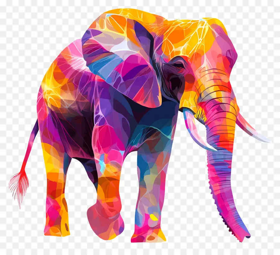 Silhueta De Elefante，Elefante Colorido PNG