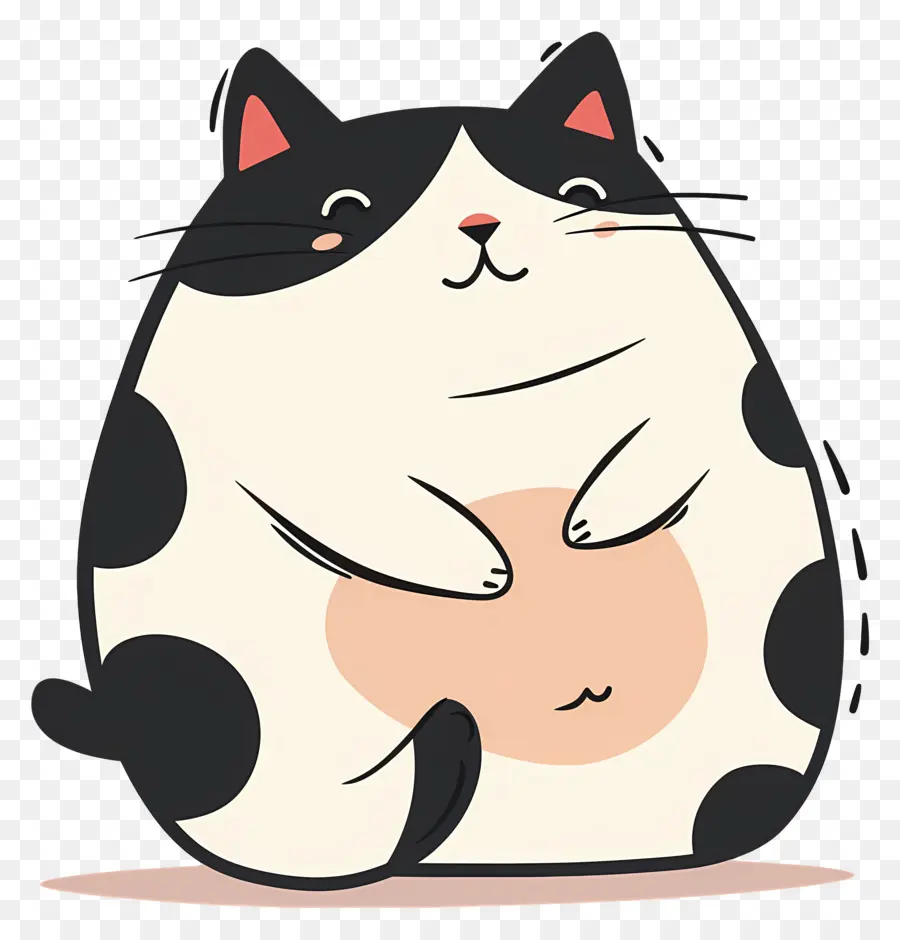 Gato Fofo，Gato Preto E Branco PNG