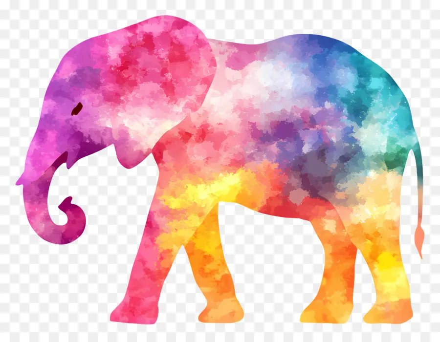 Silhueta De Elefante，Elefante Colorido PNG