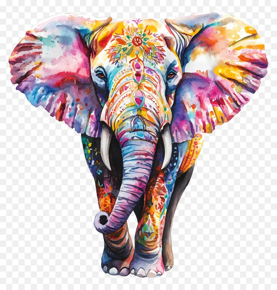 Elefante Aquarela，Elefante Colorido PNG