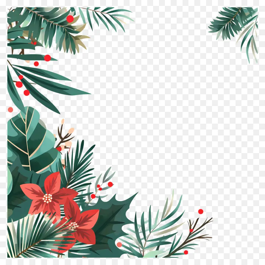 Canto De Natal，Poinsétia E Folhas Verdes PNG