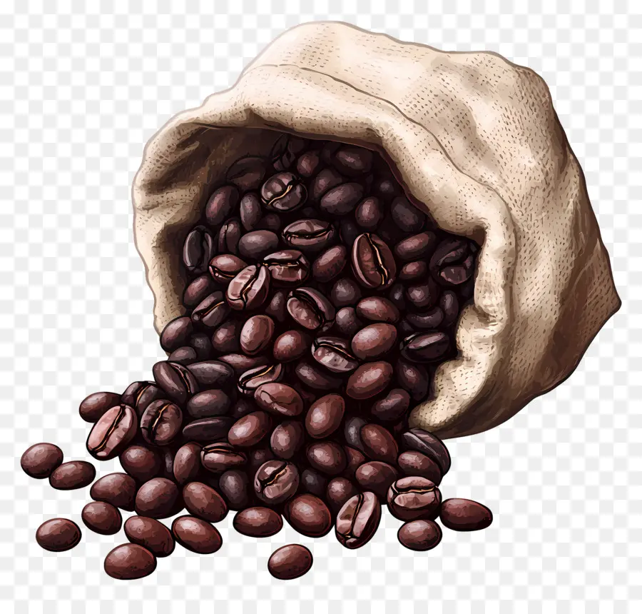 Grãos De Café，Bolsa PNG