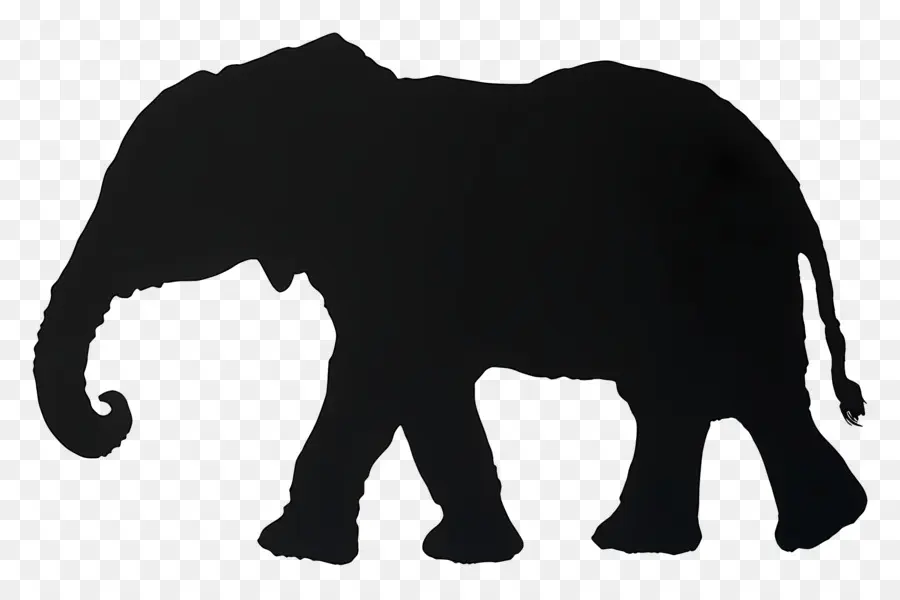 Silhueta De Elefante，Silhueta De Elefante Preto PNG