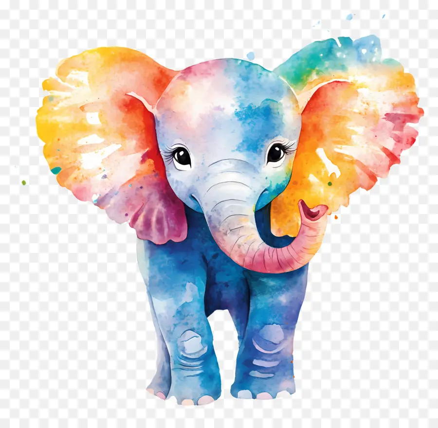 Elefante Aquarela，Elefante Colorido PNG