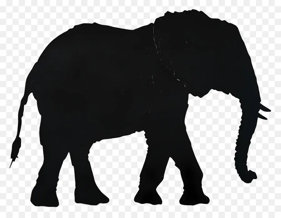 Silhueta De Elefante，Silhueta De Elefante Preto PNG