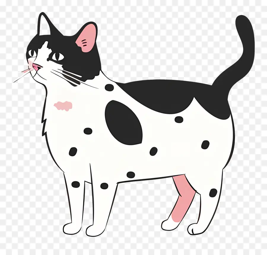 Gato Fofo，Gato Preto E Branco PNG