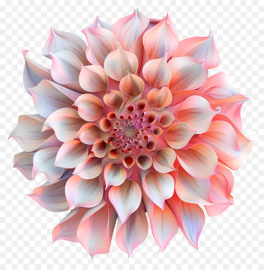 Flor 3d，Flor Rosa PNG