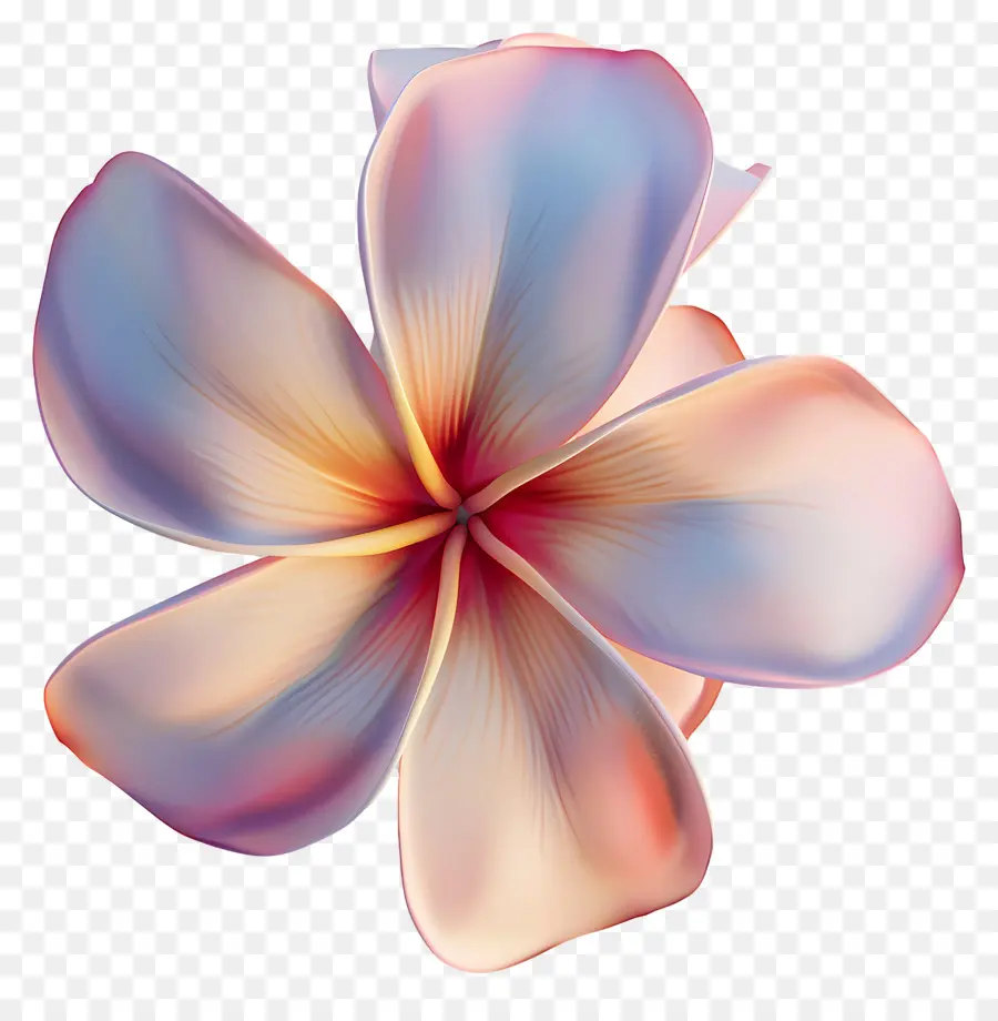 Flor 3d，Flor Colorida PNG