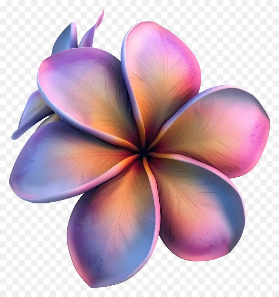 Flor 3d，Flores PNG