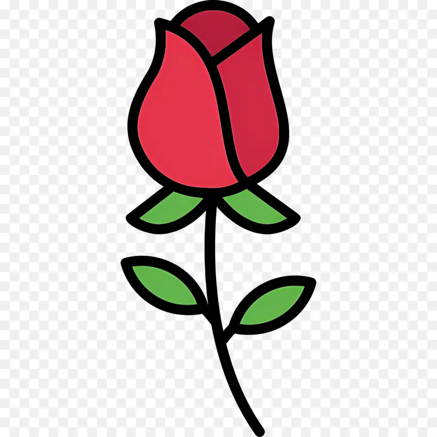 Flor Rosa，Rosa Rosa PNG