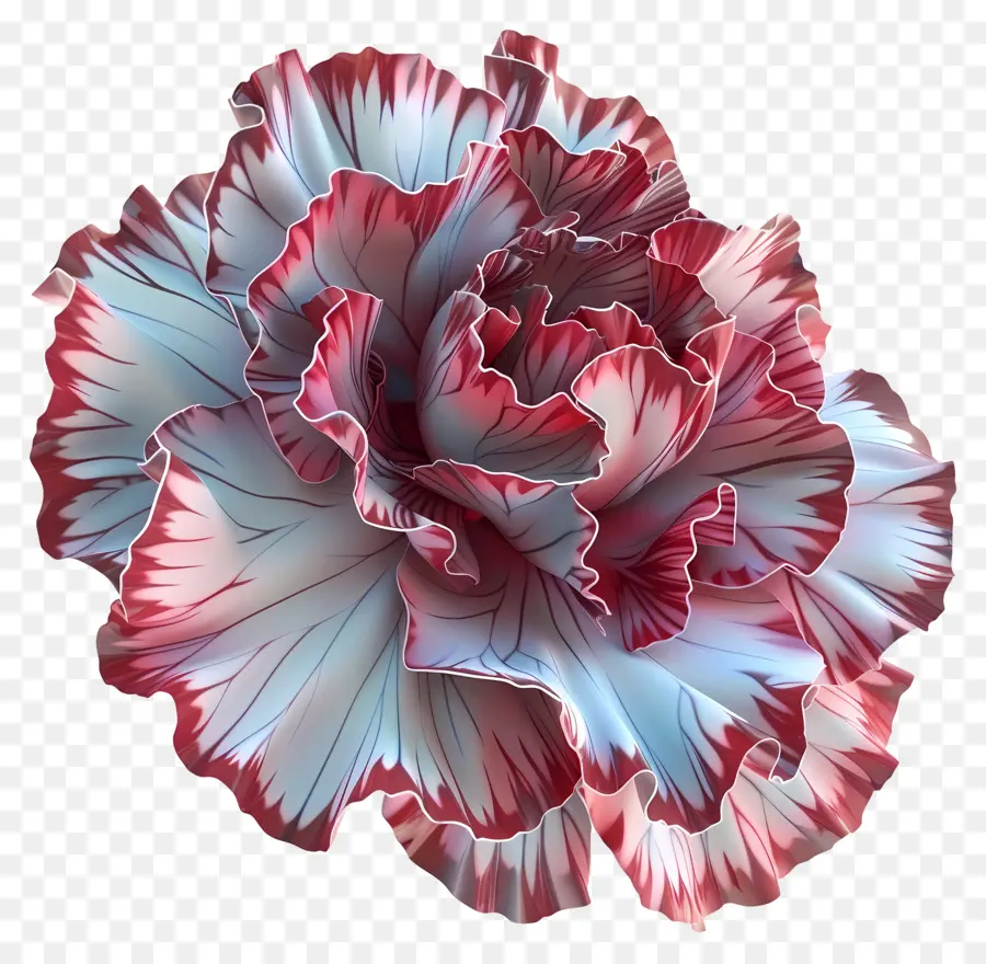 Flor 3d，Flor Vermelha E Branca PNG