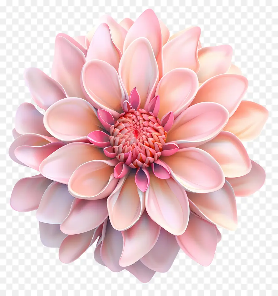 Flor 3d，Flor Rosa PNG