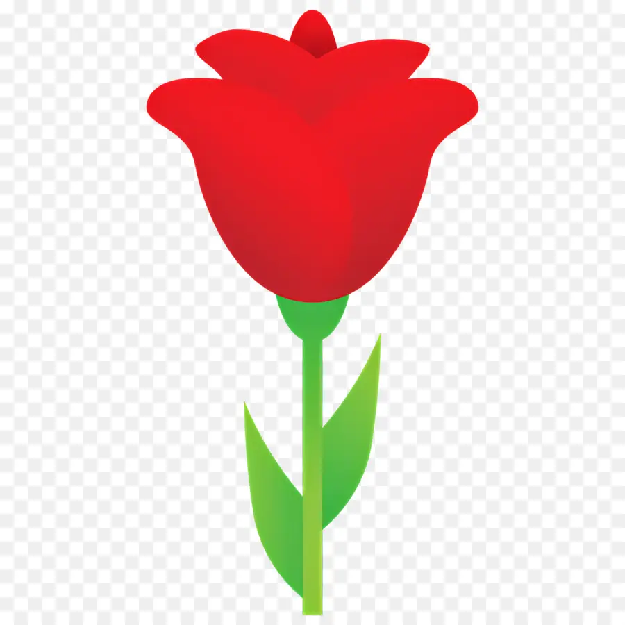 Flor Rosa，Rosa Vermelha PNG