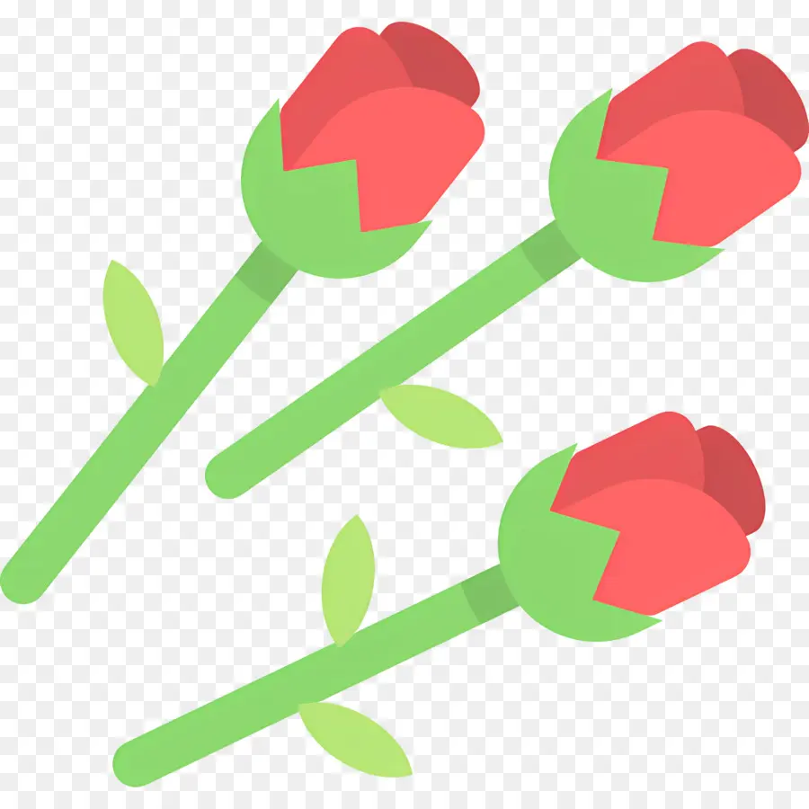 Flor Rosa，Três Rosas PNG