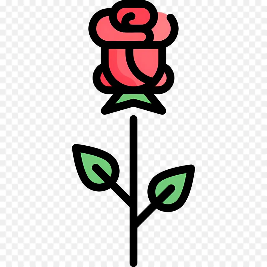 Flor Rosa，Rosa Vermelha PNG