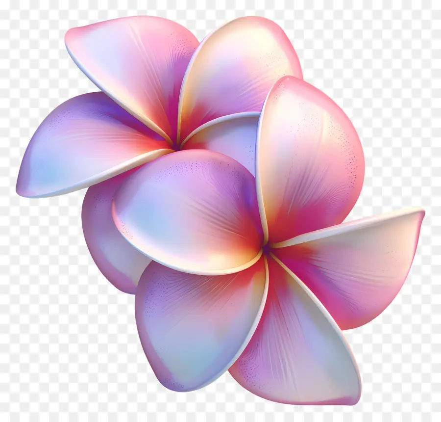 Flor 3d，Flores PNG