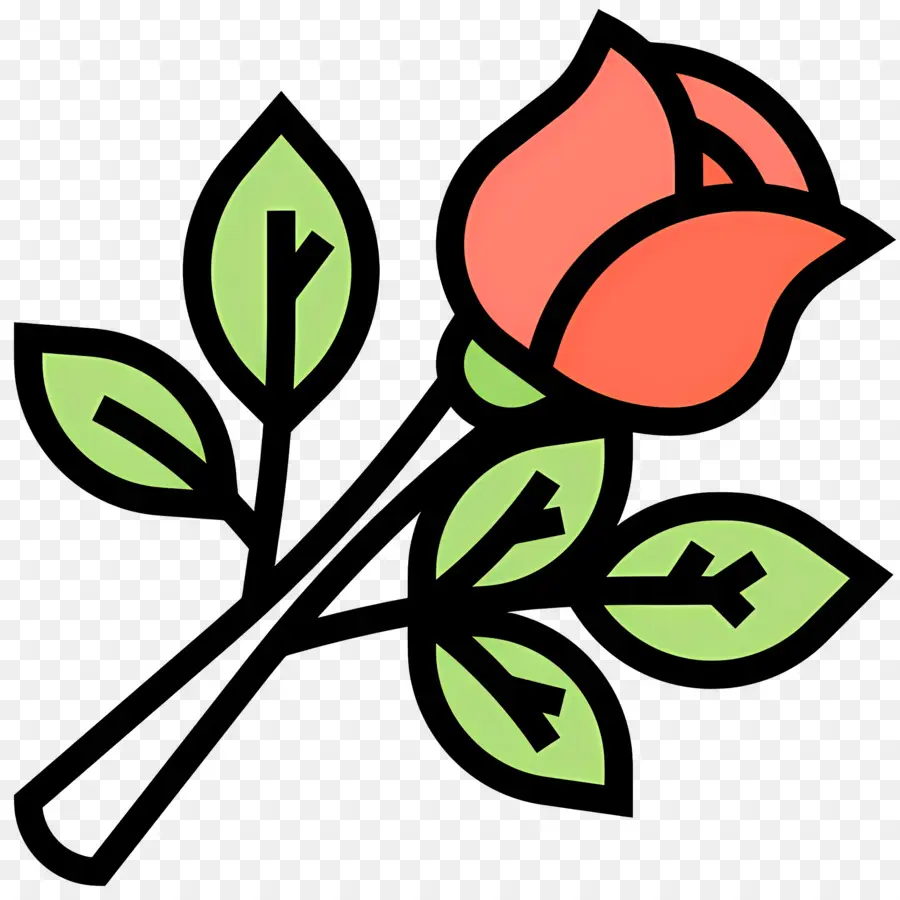 Flor Rosa，Rosa Vermelha PNG