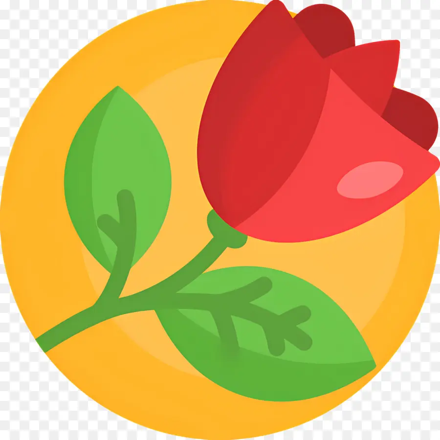 Flor Rosa，Rosa Vermelha PNG