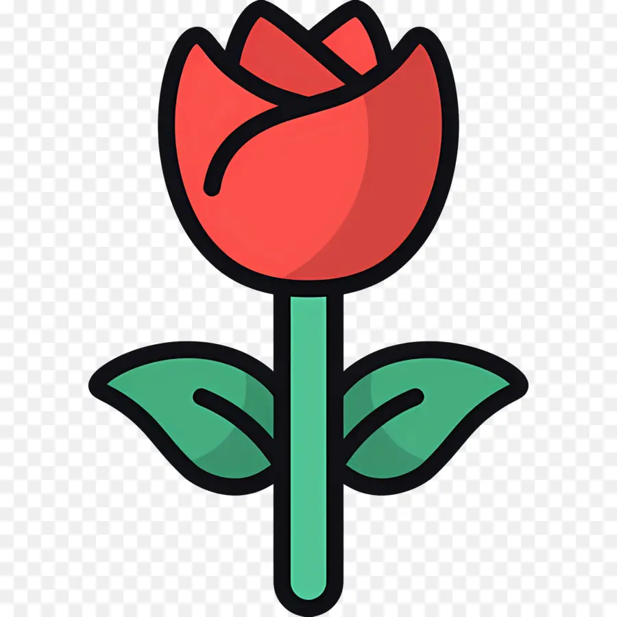 Flor Rosa，Rosa Vermelha PNG