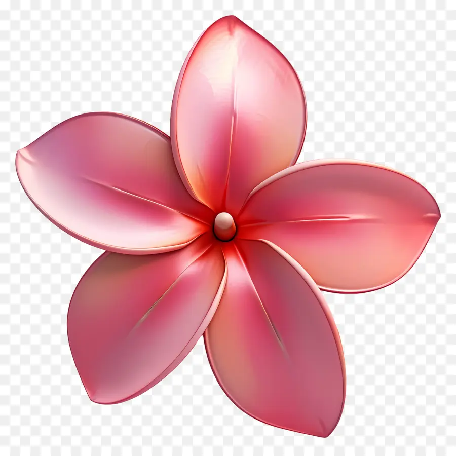 Flor 3d，Flor Rosa PNG