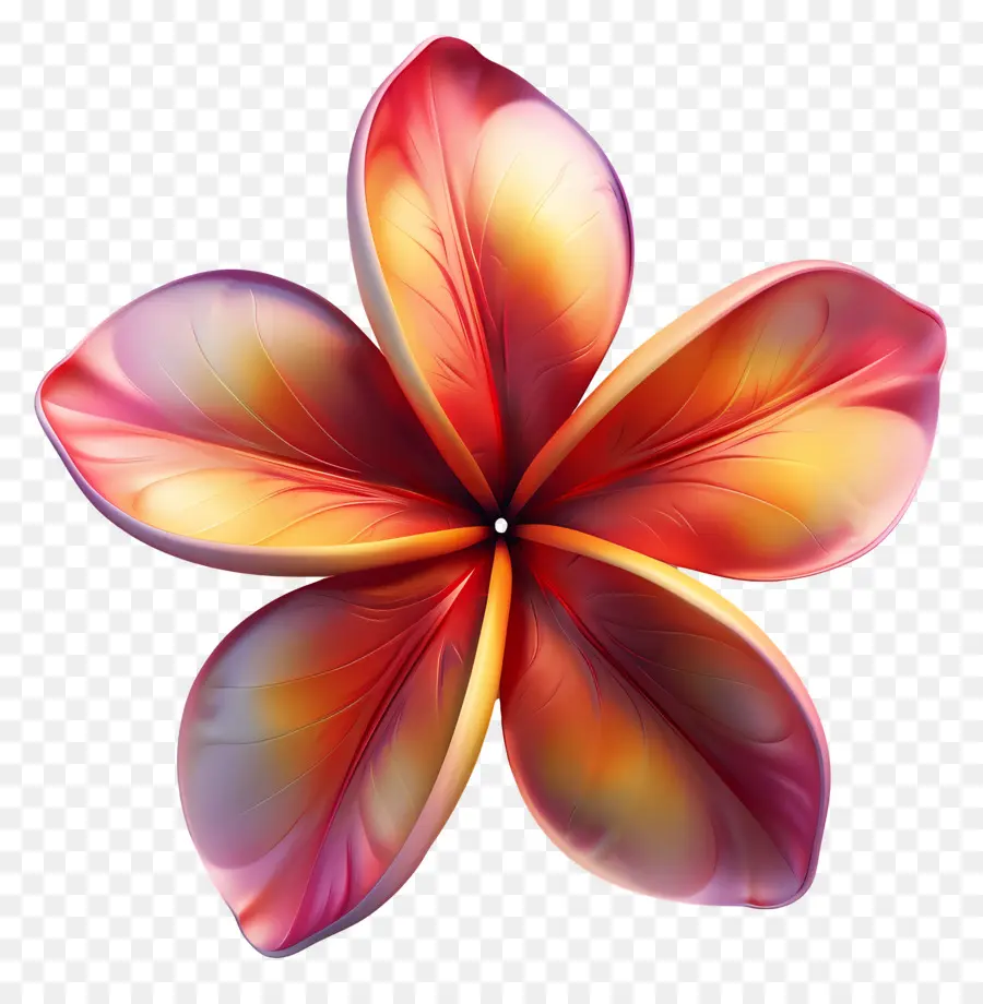 Flor 3d，Flor Colorida PNG