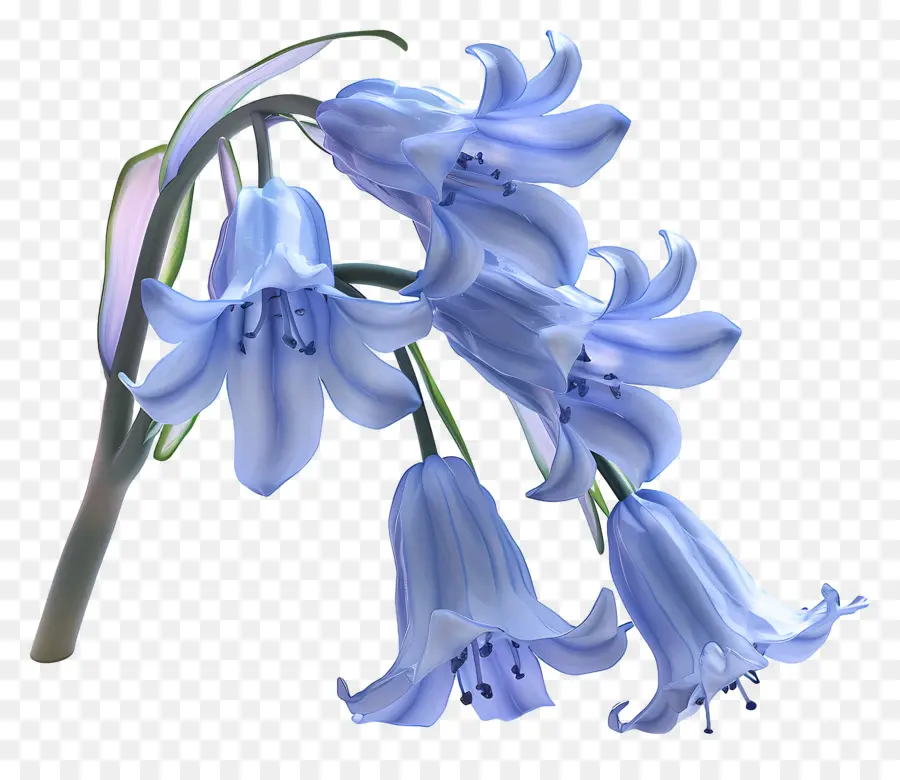 Flor 3d，Campainhas PNG