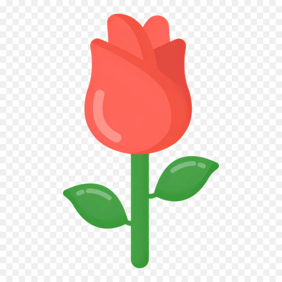 Flor Rosa，Rosa Vermelha PNG