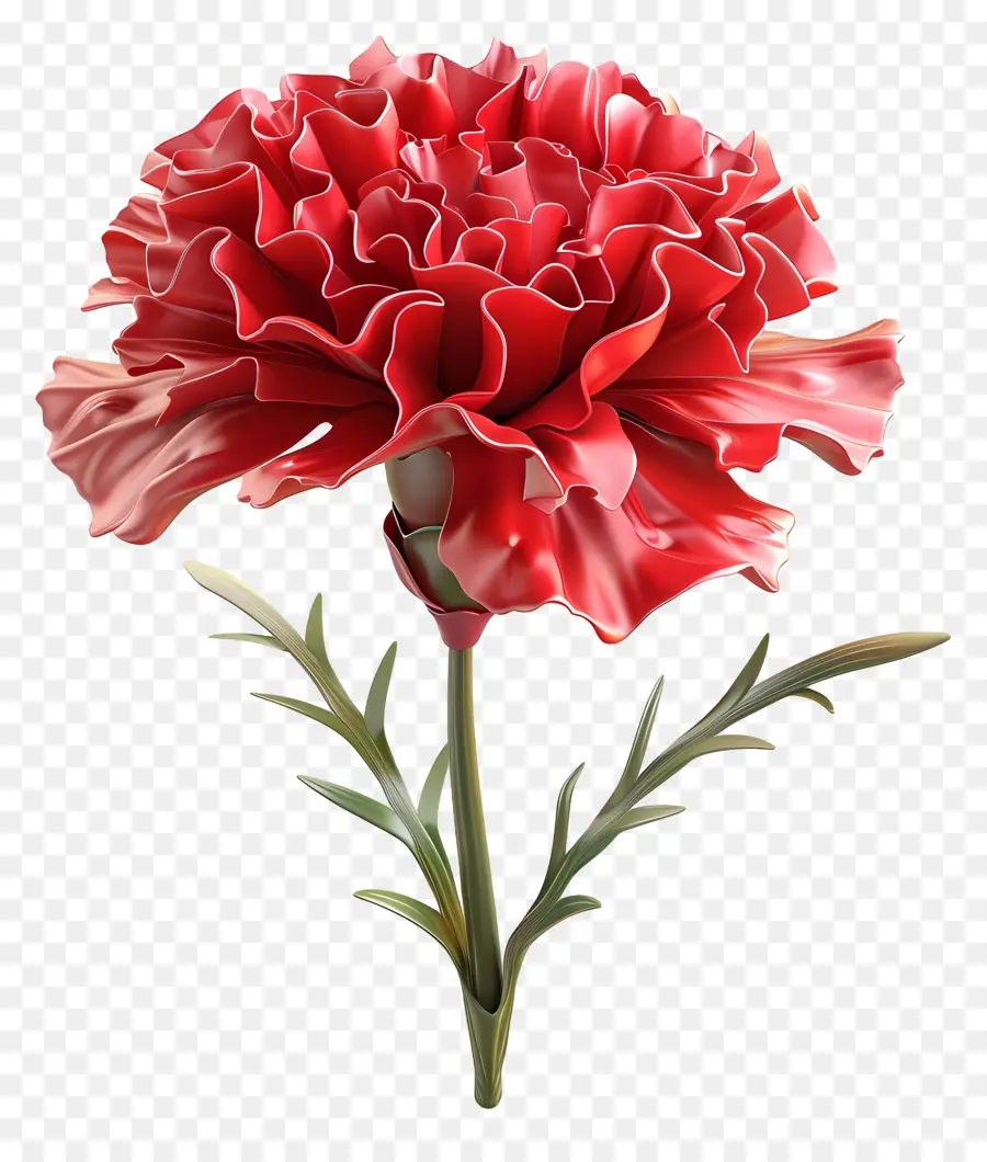 Flor 3d，Cravo Vermelho PNG