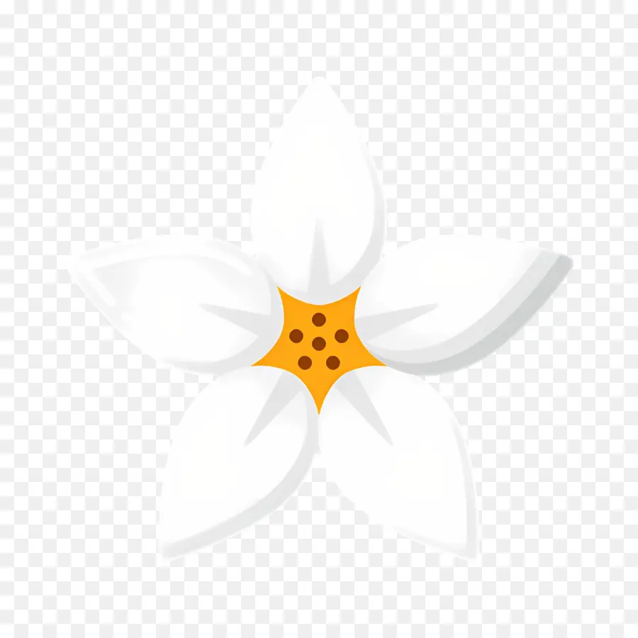 Flor De Jasmim，Flor Branca PNG