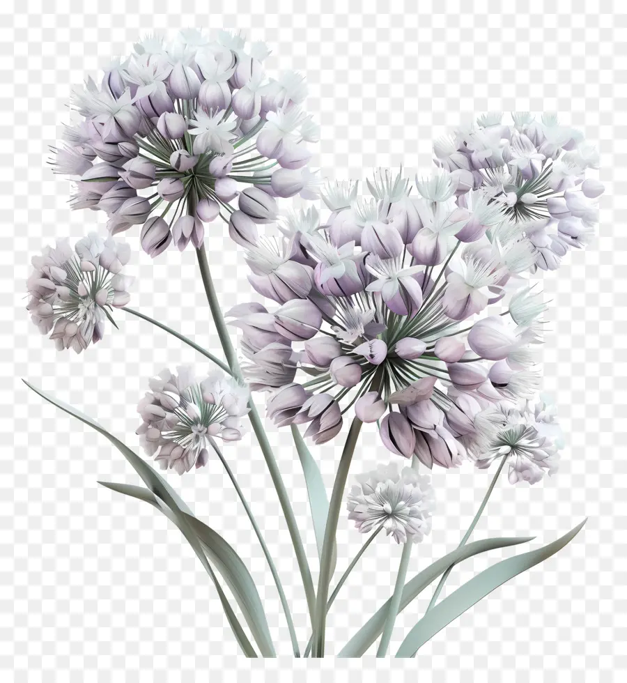 Flor De Allium Modelo 3d，Flor Roxa PNG