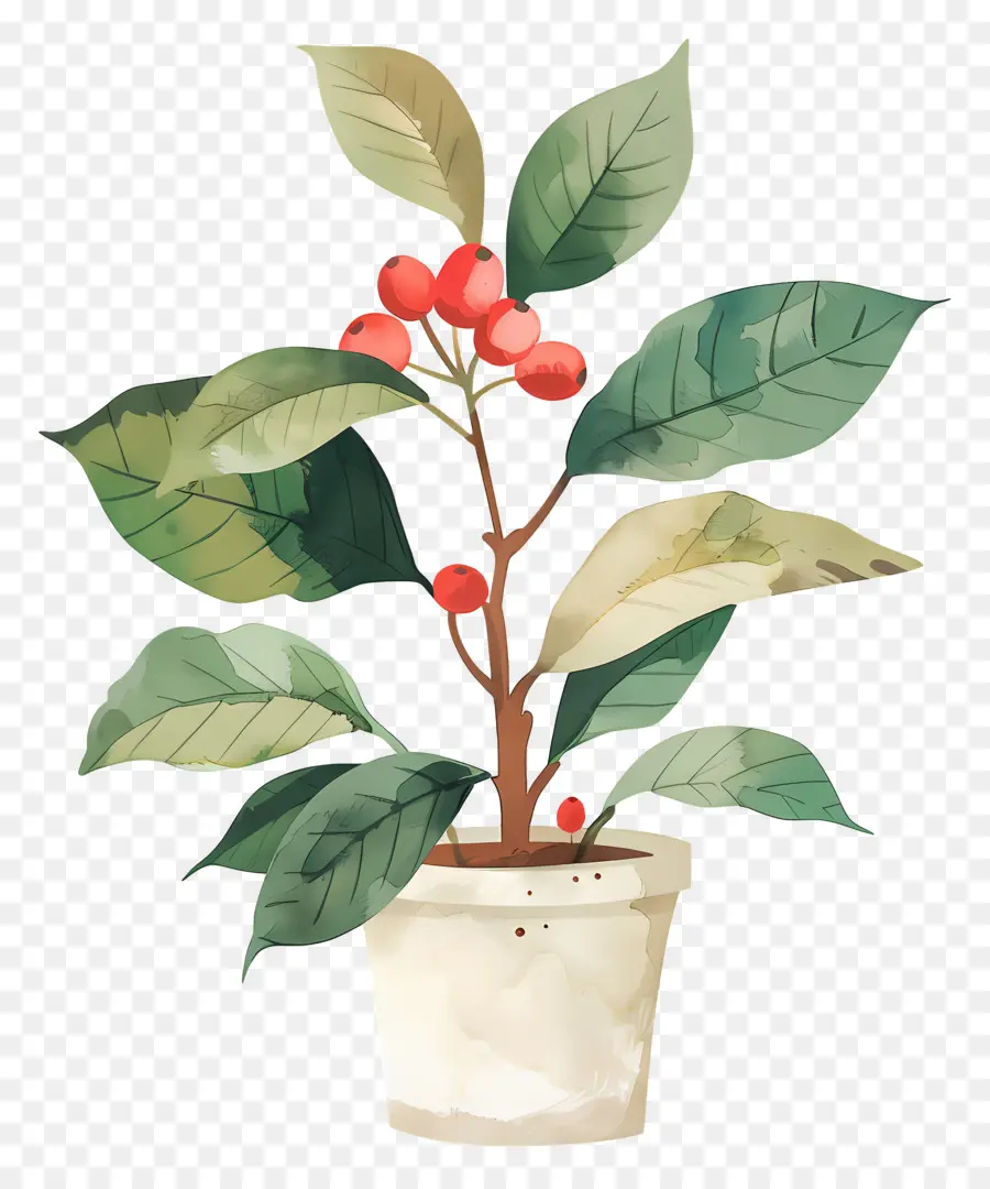 Planta Aquarela，Planta Em Vaso PNG