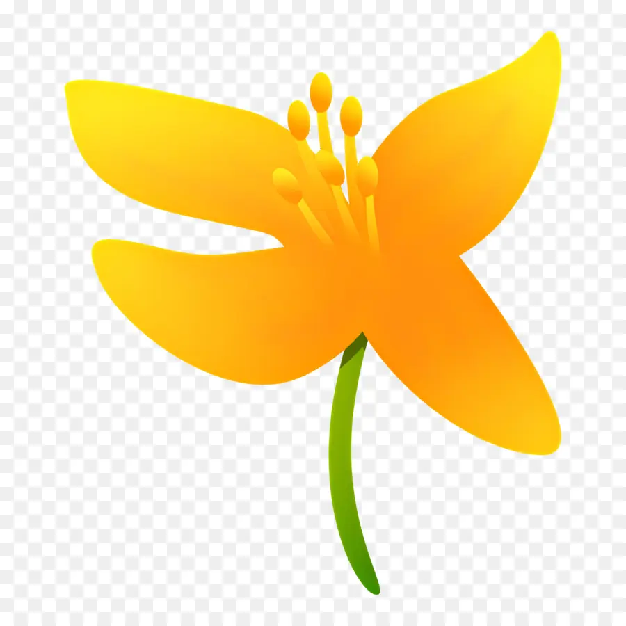 Flor Amarela，Lírio Amarelo PNG