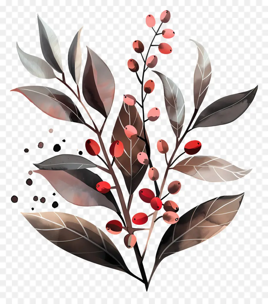 Planta De Café Em Aquarela，Ramo De Baga PNG