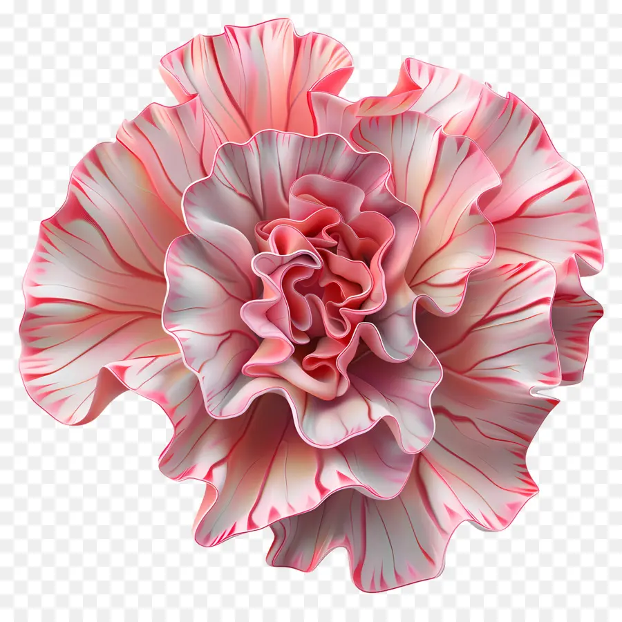 Flor 3d，Cravo Rosa PNG