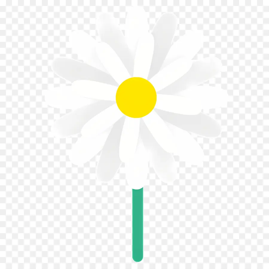 Flor Margarida，Margarida Branca PNG