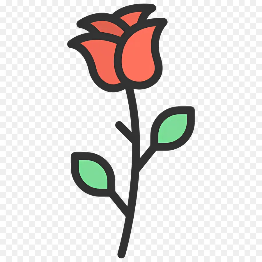 Flor Rosa，Rosa Rosa PNG