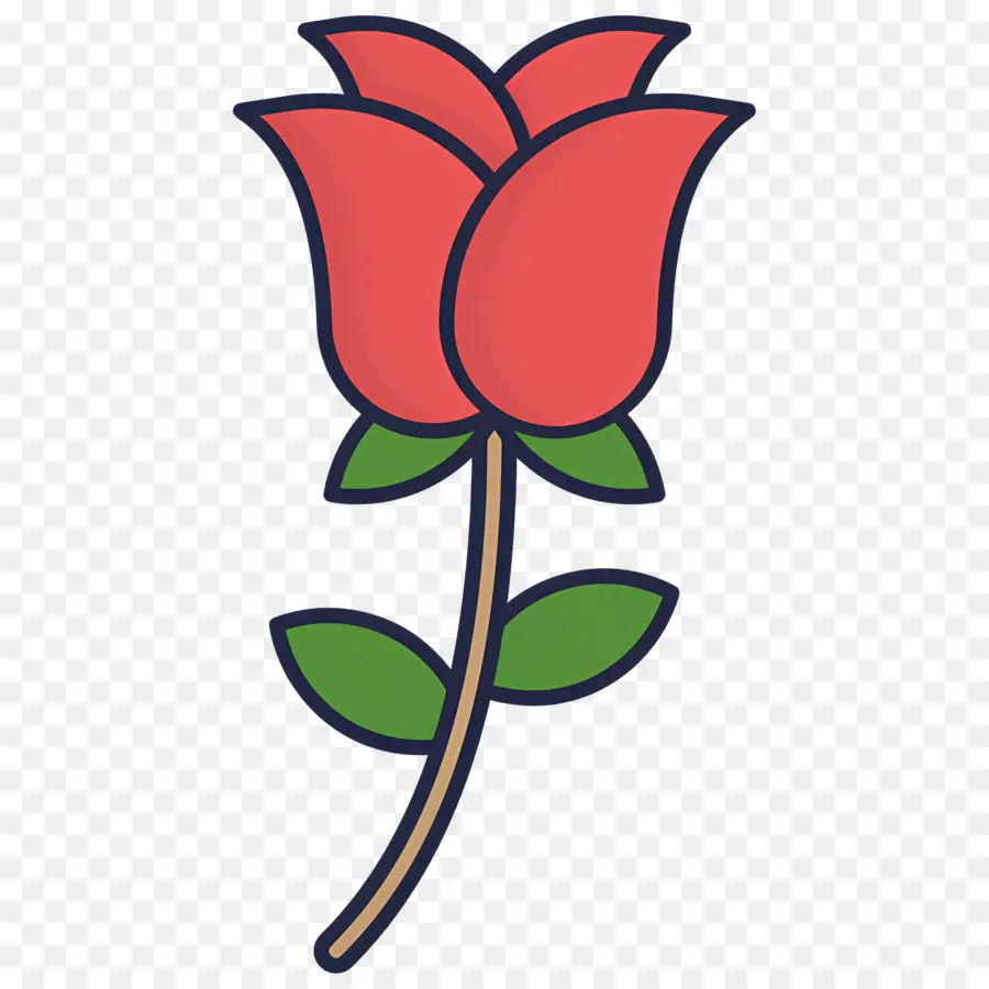 Flor Rosa，Três Rosas PNG