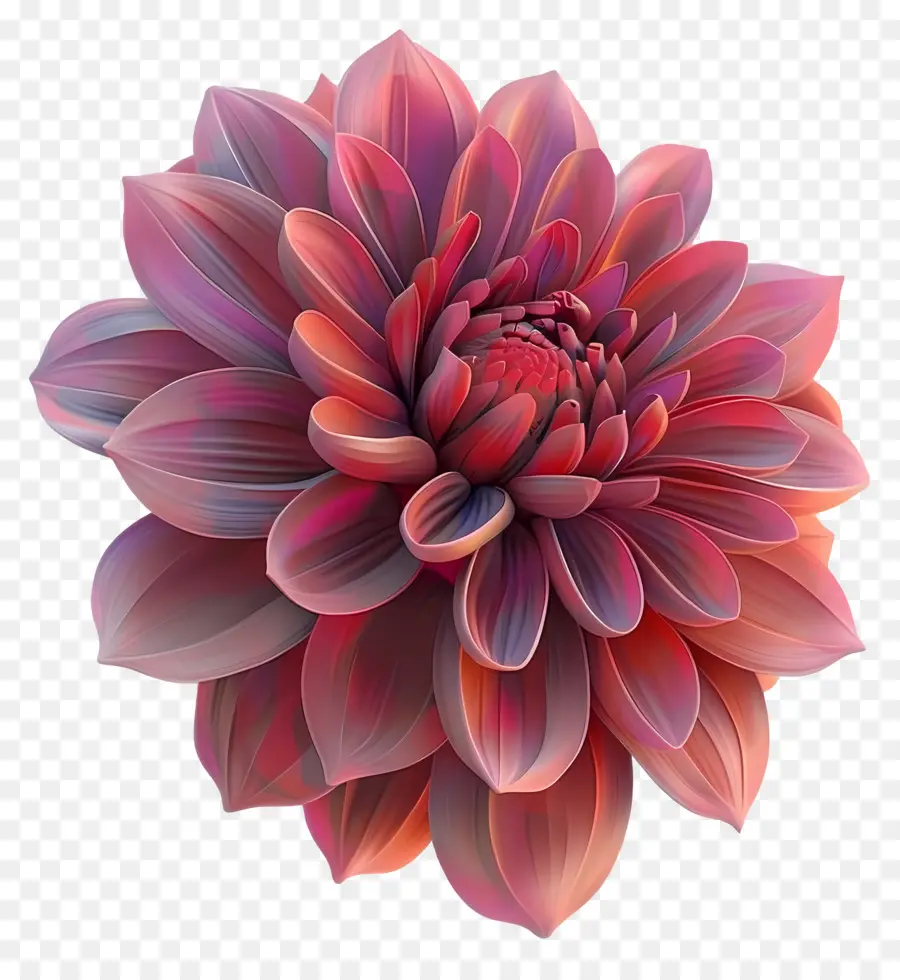 Flor 3d，Flor Rosa PNG